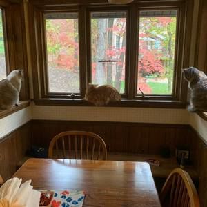 Meet your Posher, Jill